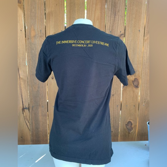 AR's One Spectacular Night concert tee size Medium. - Picture 2 of 6